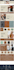 design and create professional amazon storefront or brand store