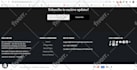 fix shopify errors or issues or bugs within 2 hours