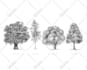 draw a scientific illustration