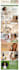 design stunning amazon brand store and develop storefront