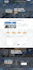 develop a responsive wordpress website with free logo