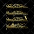 do photography signature handwriting scripted calligraphy cursive logo