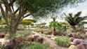 design subdivision, block,  neighborhood for you