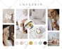 design a cohesive color palette and mood board