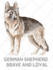design retro labrador dog shirts and pet lover t shirt bundles