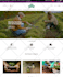 create automated alidropship aliexpress woocommerce dropshipping store