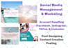 be your social media marketing manager pro