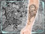 design a professional blackwork tattoo