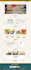 design elementor wordpress website, landing page with elementor pro, astra pro