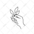 draw minimal modern line art illustration