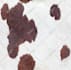 design a seamless repeating pattern design of animal print