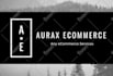 upload products to your ecommerce store