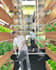 create architectural photo montage and concept visualization