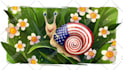 make illustration for you