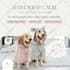 design an outstanding, eyecatching, high converting meta ad