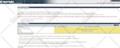 file a US copyright registration or provide copyright opinion