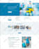 build rebuild and redesign a professional responsive wordpress business website