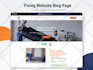 fix wordpress website issues and customise it