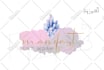 design a feminine watercolor logo
