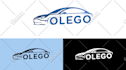 design a high quality professional logo for you