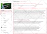 do complete youtube channel setup SEO optimization service