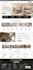 build wordpress website development, design and redesign business website