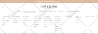 shopify custom coding shopify bug fix and custom theme development