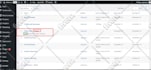 do a full website creation and build a new wordpress website in 24 hours