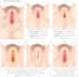 create medical anatomy surgical and scientific illustrations