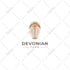 design a bespoke logo,artwork and unlimited revisions