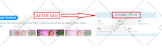 provide the best quality youtube SEO service to rank videos rapidly