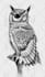 hand draw your stunning new tattoo design