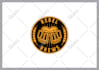 do modern luxury or heraldic logo design with hand drawing