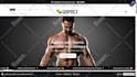 professionally redesign or improve your shopify store