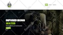 create a wordpress website design