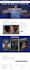 do wordpress landing page design or one page website design with elementor pro