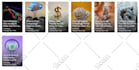 create professional webstories discover friendly