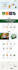 create ecommerce shopify dropshipping store, shopify website