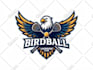 do professional, modern business logo design and redesign