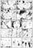 comic illustration comic book graphic novel comic artist comic comic book artist
