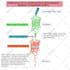 make scientific illustrations for you