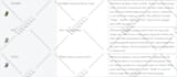 do super shopify SEO for first page ranking on google