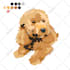 create for rug maker, pet drawing, people portrait