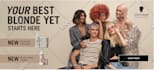 build, edit, clone, fix, design, redesign wordpress website
