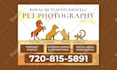 design eye catchy car magnet sign within 6 hours