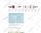 audit optimize and manage bing or google ads PPC campaign