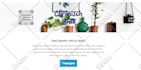 connect mailchimp to wordpress set up forms and email automation