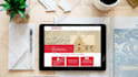 build a responsive and professional wordpress website