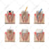 prepare images for educational stem purposes