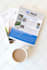 do canva newsletter design